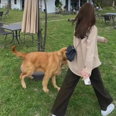 猛将娇娃